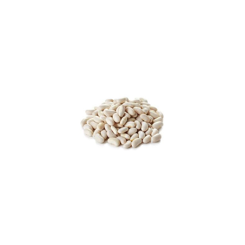 HARICOT SEC SOISSON 10X500G